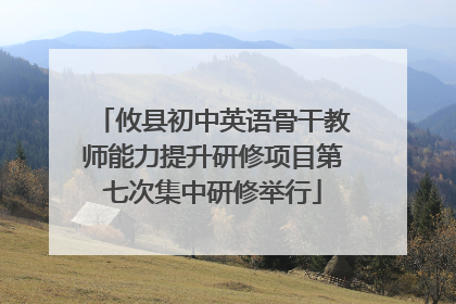 攸县初中英语骨干教师能力提升研修项目第七次集中研修举行