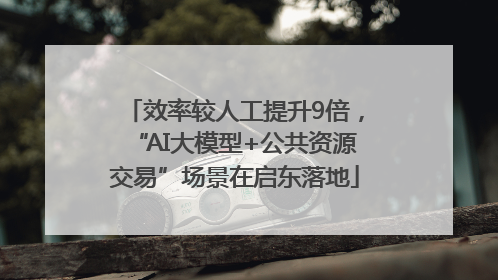 效率较人工提升9倍，“AI大模型+公共资源交易”场景在启东落地