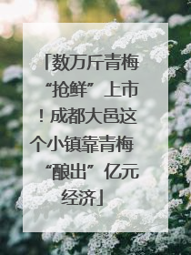 数万斤青梅“抢鲜”上市！成都大邑这个小镇靠青梅“酿出”亿元经济