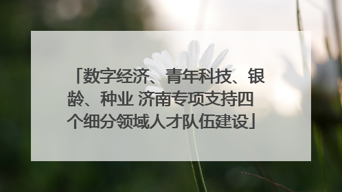 数字经济、青年科技、银龄、种业 济南专项支持四个细分领域人才队伍建设