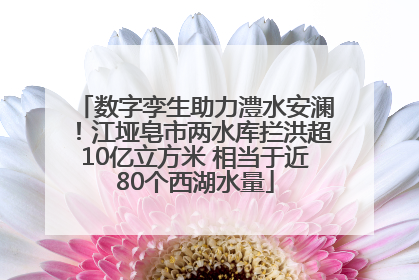 数字孪生助力澧水安澜！江垭皂市两水库拦洪超10亿立方米 相当于近80个西湖水量