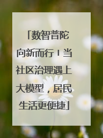 数智普陀 向新而行〡当社区治理遇上大模型，居民生活更便捷