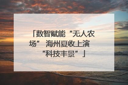 数智赋能“无人农场” 海州夏收上演“科技丰景”