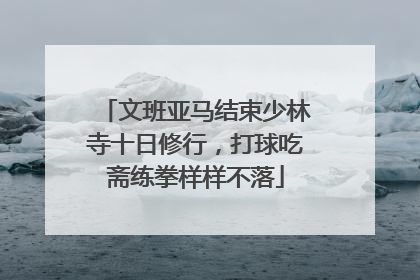 文班亚马结束少林寺十日修行，打球吃斋练拳样样不落