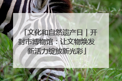 文化和自然遗产日｜开封市博物馆：让文物焕发新活力绽放新光彩