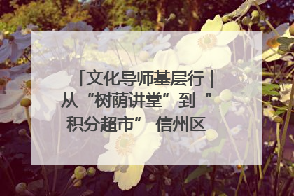 文化导师基层行｜从“树荫讲堂”到“积分超市” 信州区基层治理有实招