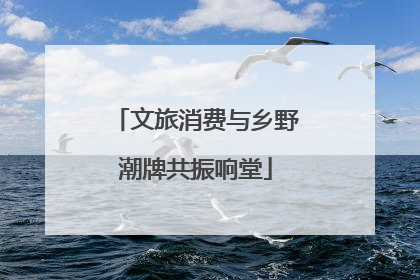 文旅消费与乡野潮牌共振响堂