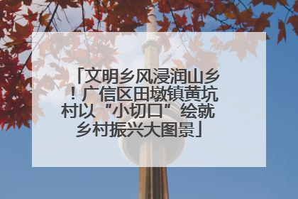 文明乡风浸润山乡！广信区田墩镇黄坑村以“小切口”绘就乡村振兴大图景