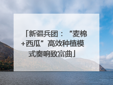 新疆兵团：“麦棉+西瓜”高效种植模式奏响致富曲