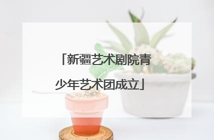 新疆艺术剧院青少年艺术团成立
