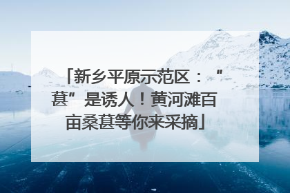 新乡平原示范区：“葚”是诱人！黄河滩百亩桑葚等你来采摘