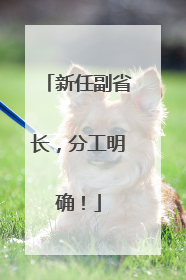 新任副省长，分工明确！