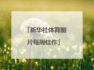 新华社体育图片每周佳作