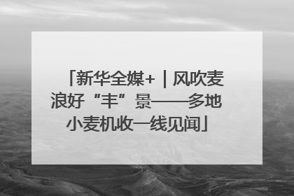 新华全媒+｜风吹麦浪好“丰”景——多地小麦机收一线见闻
