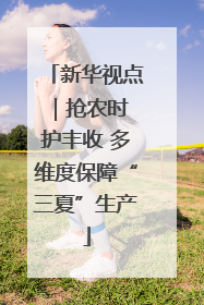 新华视点｜抢农时 护丰收 多维度保障“三夏”生产