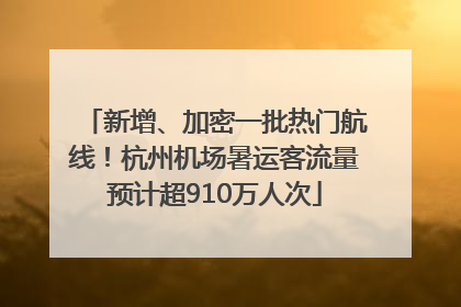 新增、加密一批热门航线！杭州机场暑运客流量预计超910万人次