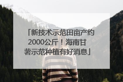 新技术示范田亩产约2000公斤！海南甘薯示范种植有好消息