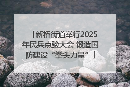 新桥街道举行2025年民兵点验大会 锻造国防建设“拳头力量”