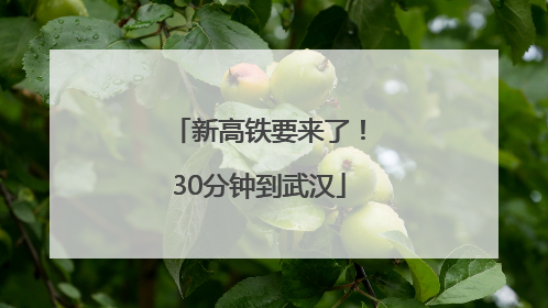 新高铁要来了！30分钟到武汉