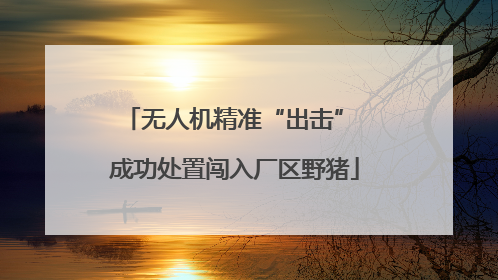 无人机精准“出击” 成功处置闯入厂区野猪