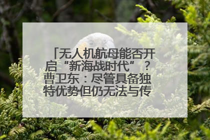 无人机航母能否开启“新海战时代”？曹卫东：尽管具备独特优势但仍无法与传统航母相提并论