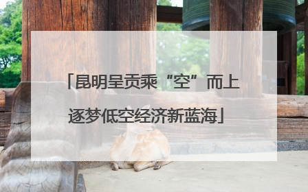 昆明呈贡乘“空”而上 逐梦低空经济新蓝海