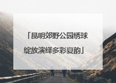 昆明郊野公园绣球绽放演绎多彩夏韵