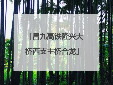 昌九高铁隆兴大桥西支主桥合龙