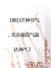 明日芒种节气，北京最高气温达36℃