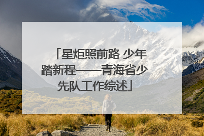 星炬照前路 少年踏新程——青海省少先队工作综述