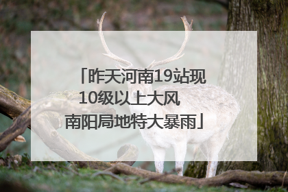 昨天河南19站现10级以上大风  南阳局地特大暴雨