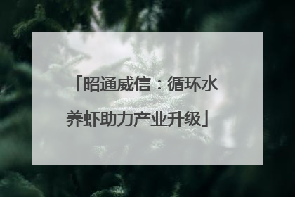 昭通威信：循环水养虾助力产业升级