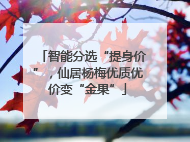 智能分选“提身价”，仙居杨梅优质优价变“金果”