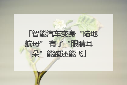 智能汽车变身“陆地航母” 有了“眼睛耳朵”能跑还能飞