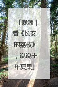 晚潮｜看《长安的荔枝》，说说千年夏果
