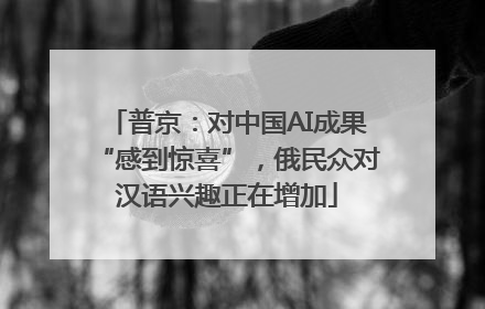 普京：对中国AI成果“感到惊喜”，俄民众对汉语兴趣正在增加
