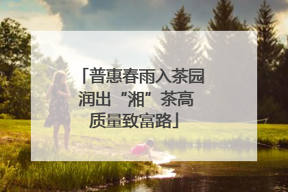 普惠春雨入茶园 润出“湘”茶高质量致富路
