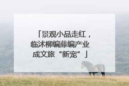 景观小品走红，临沭柳编藤编产业成文旅“新宠”