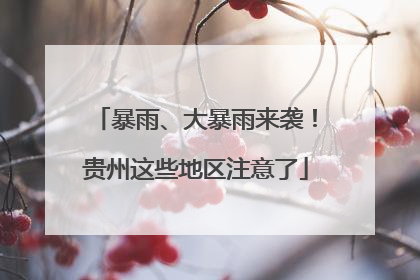 暴雨、大暴雨来袭！贵州这些地区注意了