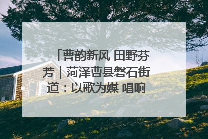 曹韵新风 田野芬芳｜菏泽曹县磐石街道：以歌为媒 唱响乡土“新歌声”