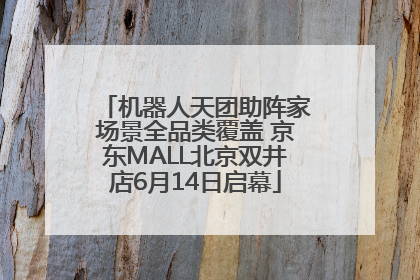 机器人天团助阵家场景全品类覆盖 京东MALL北京双井店6月14日启幕