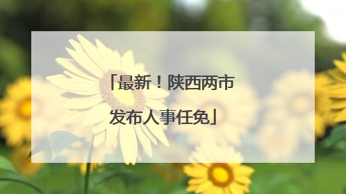 最新！陕西两市发布人事任免