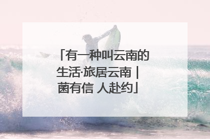 有一种叫云南的生活·旅居云南｜菌有信 人赴约