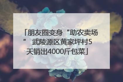 朋友圈变身“助农卖场” 武陵源区黄家坪村5天销出4000斤包菜