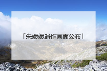 朱媛媛遗作画面公布