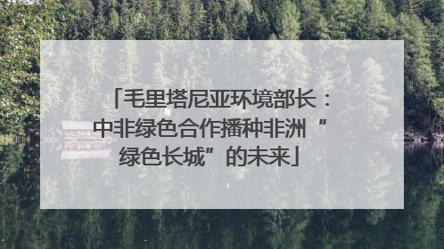 毛里塔尼亚环境部长：中非绿色合作播种非洲“绿色长城”的未来