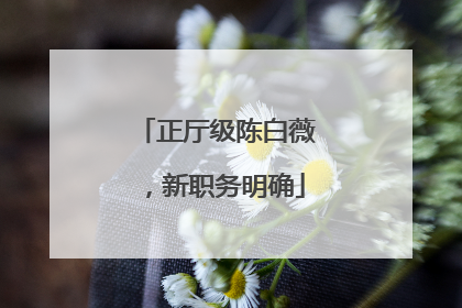 正厅级陈白薇，新职务明确