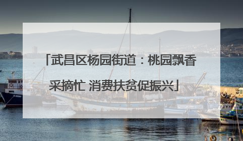 武昌区杨园街道：桃园飘香采摘忙 消费扶贫促振兴
