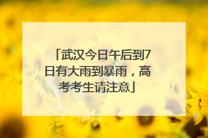 武汉今日午后到7日有大雨到暴雨，高考考生请注意
