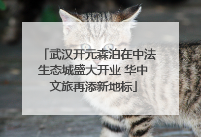 武汉开元森泊在中法生态城盛大开业 华中文旅再添新地标